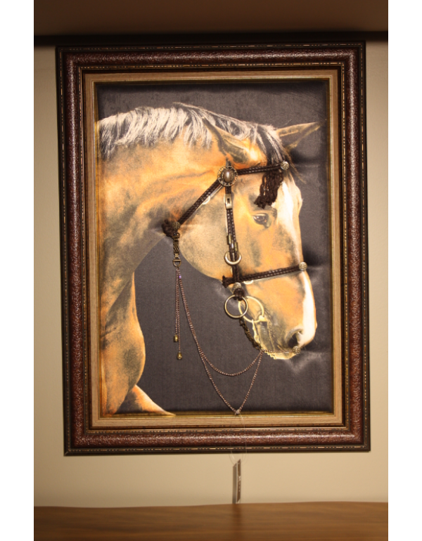 Kanvas At Tablo Rg311